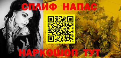 прущие грибы Пугачёв