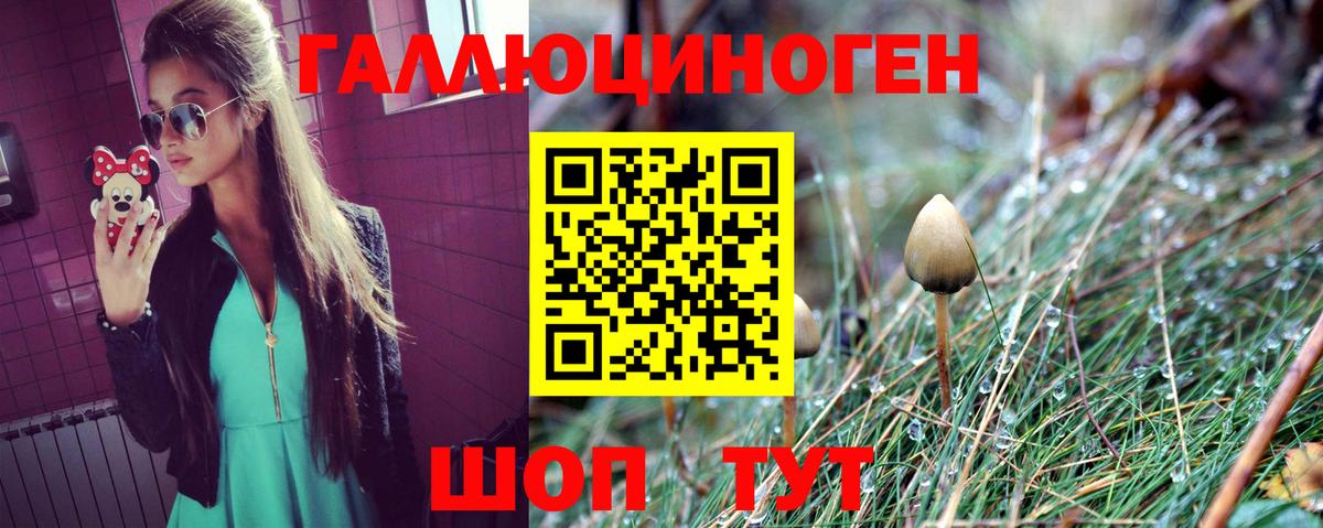 закладки  Псилоцибиновые грибы MAGIC MUSHROOMS  Вход с VPN  Рубцовск  Псилоцибиновые грибы ЛСД 